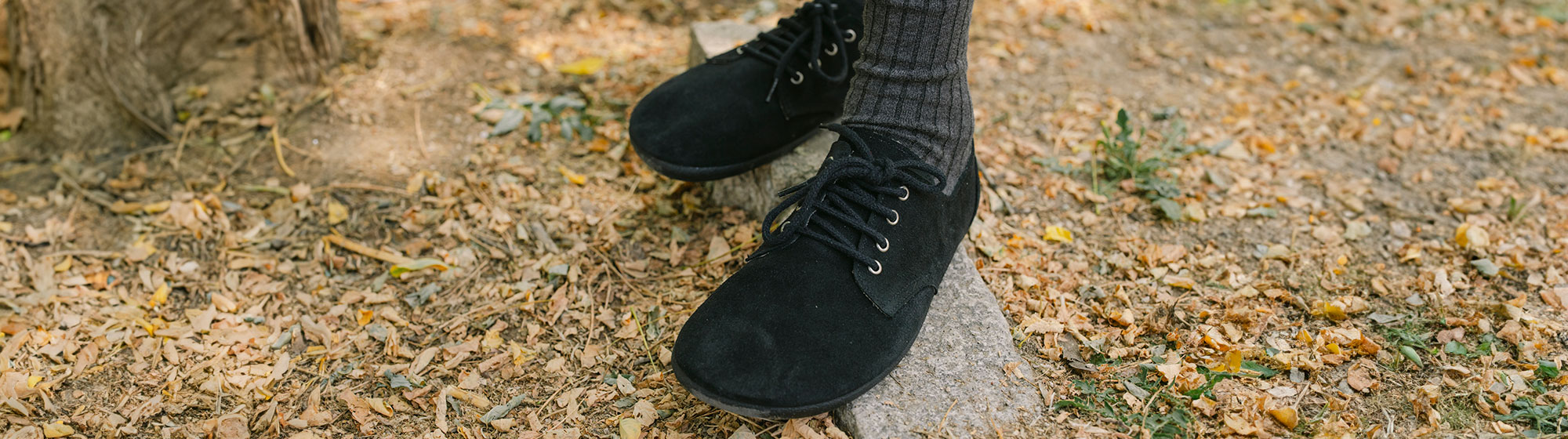Brogues and Bluchers