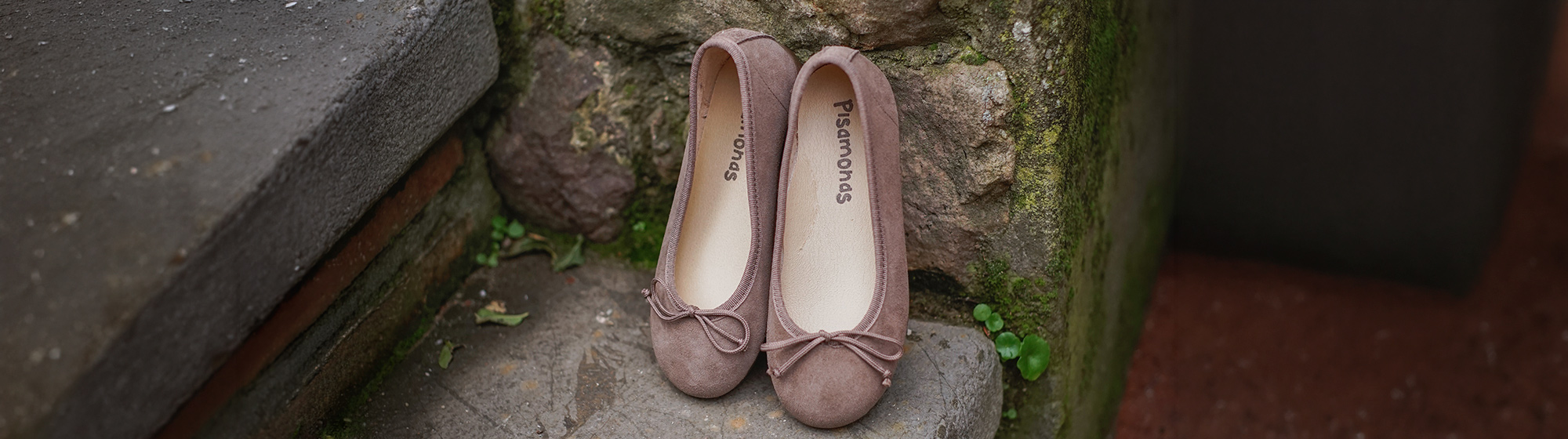 Ballet Pumps and Flats