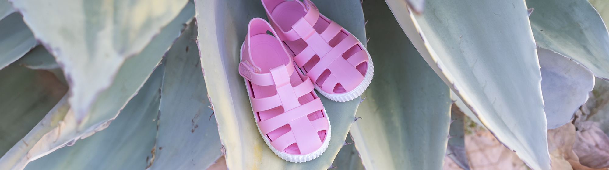 Jelly Sandals and Beachwear