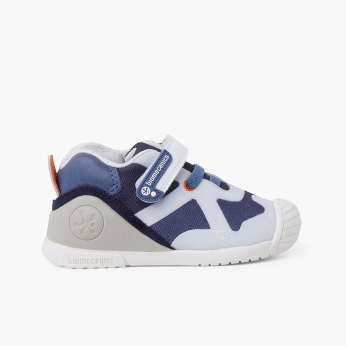 Biogateo Grid Trainers